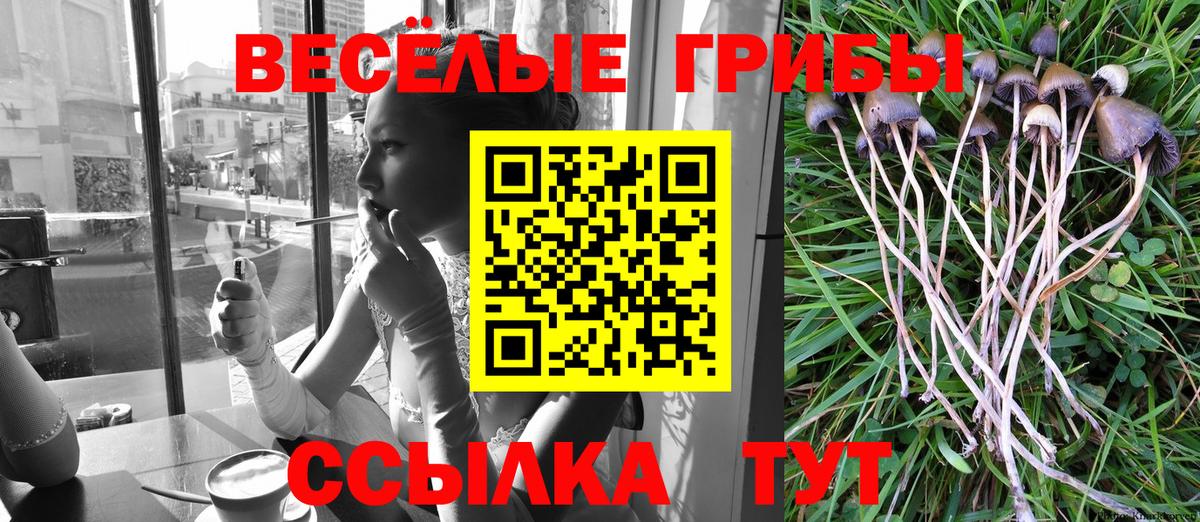 ГАШИШ Ивантеевка