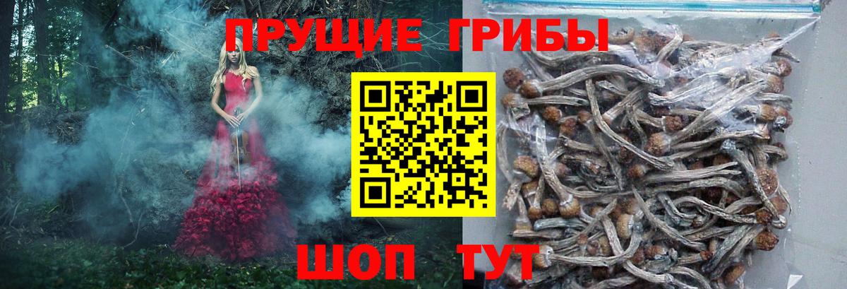 Псилоцибиновые грибы Magic Shrooms Ивантеевка